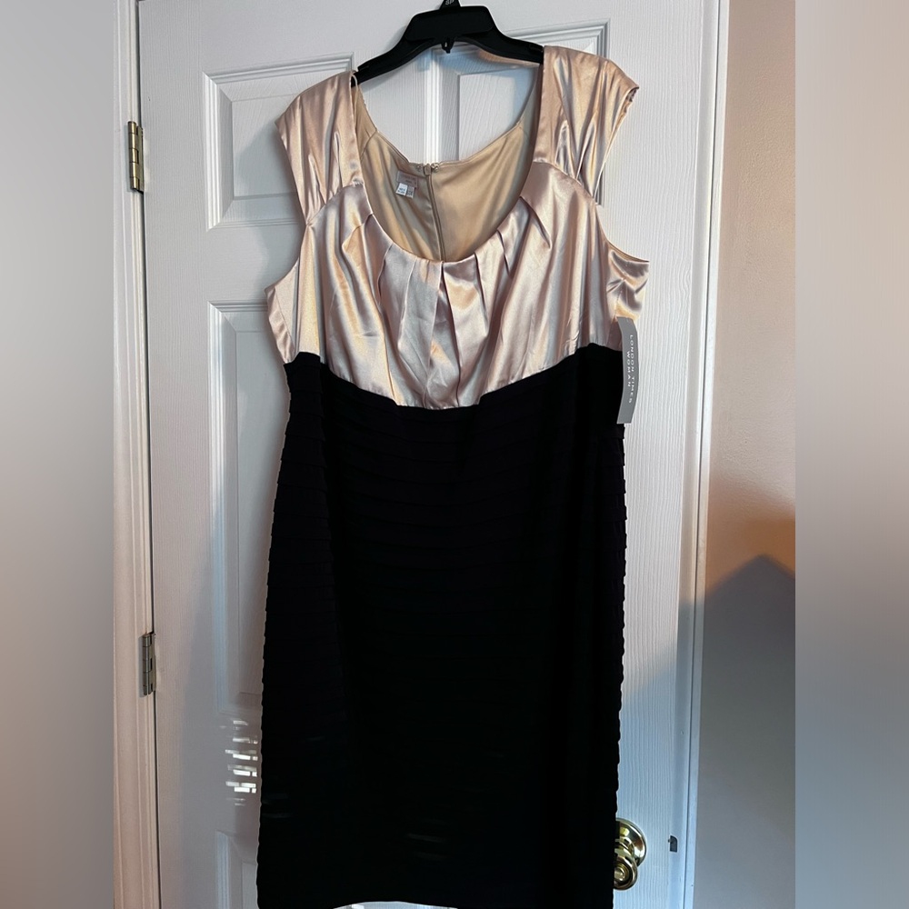 Elegant Black and Beige Dress